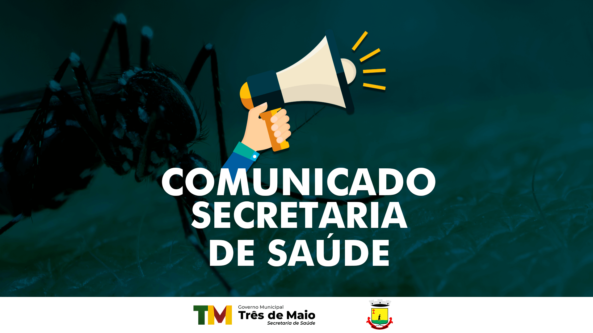 TRÊS DE MAIO CONFIRMA CASO DE FEBRE CHIKUNGUNYA